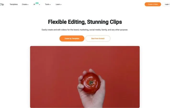 FlexClip